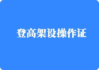 猛干中国老骚屄登高架设操作证